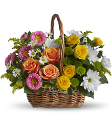 Sweet Tranquility Basket from Swindler and Sons Florists in Wilmington, OH